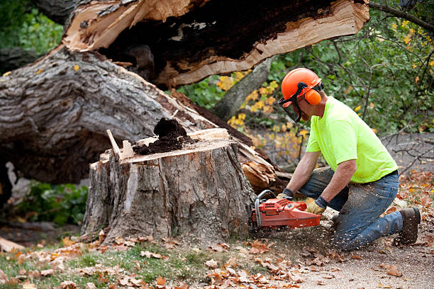 Best Commercial Tree Services  in Fairland, OK